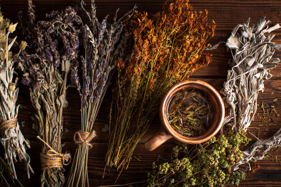 Aromatiques & médicinales